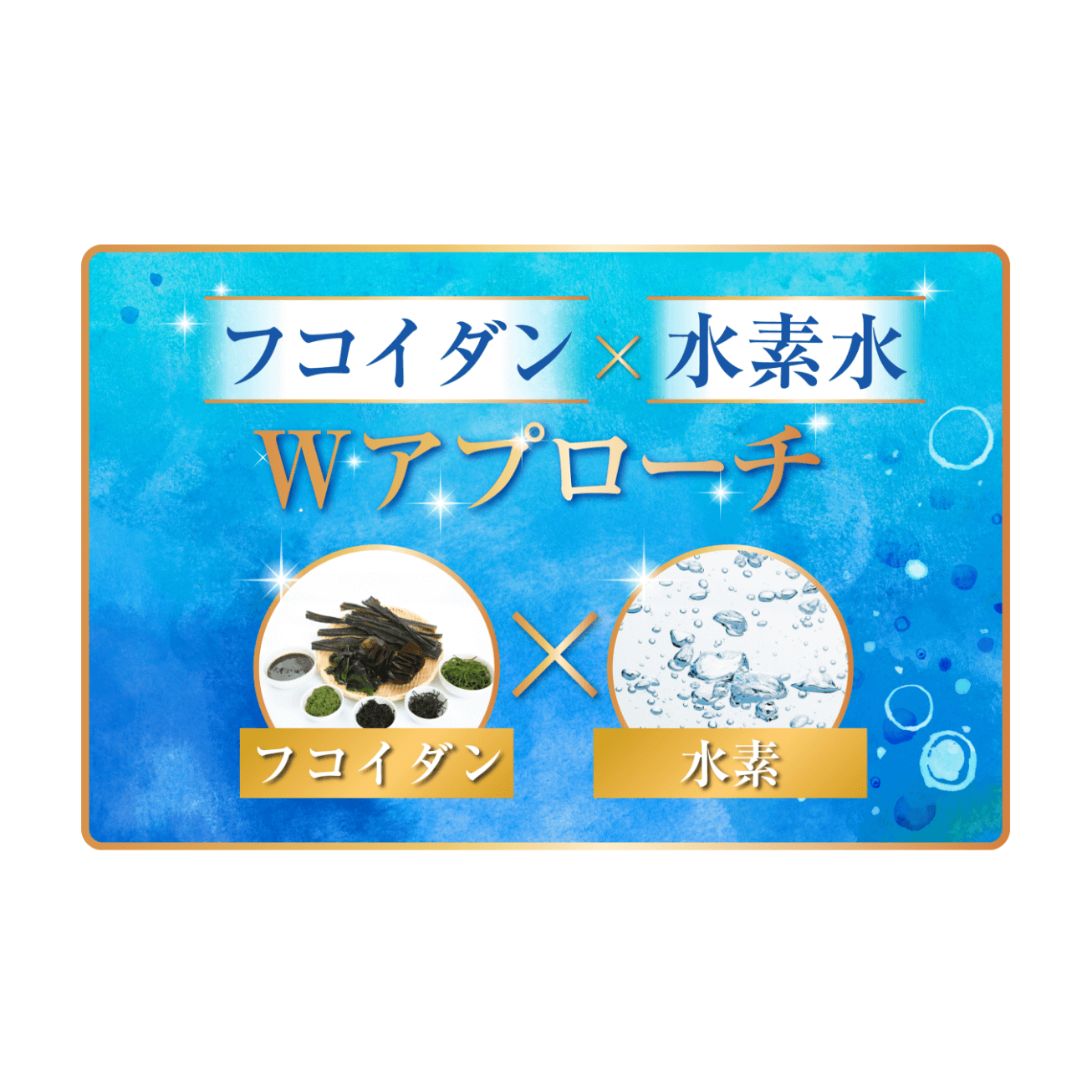 ナノバブル水素水 フコイダン FUCO LABO mini（500ml×12本）
