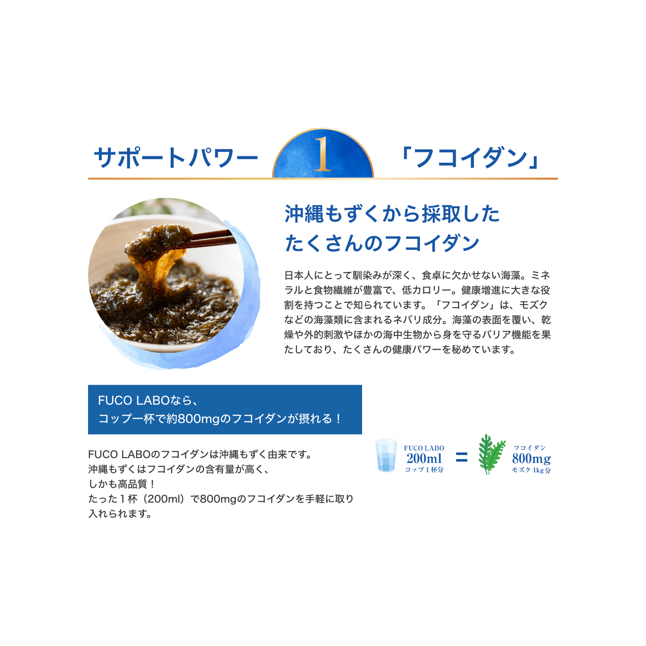 ナノバブル水素水 フコイダン FUCO LABO mini（500ml×12本）