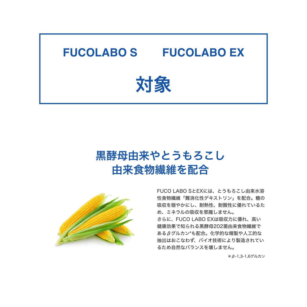 ナノバブル水素水フコイダン FUCO LABO EX（10L）